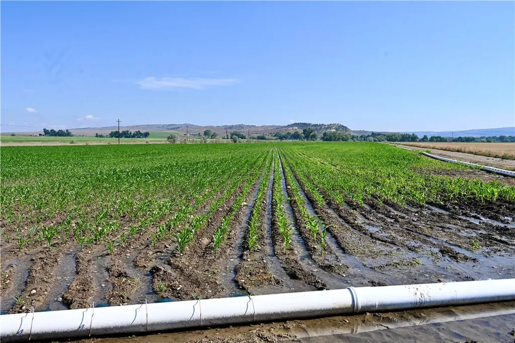 94.76 Acres Highway 72 Bridger MT 59014
