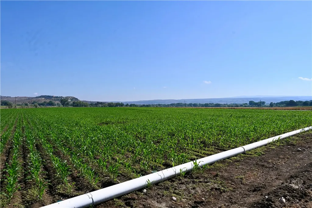 94.76 Acres Highway 72 Bridger MT 59014