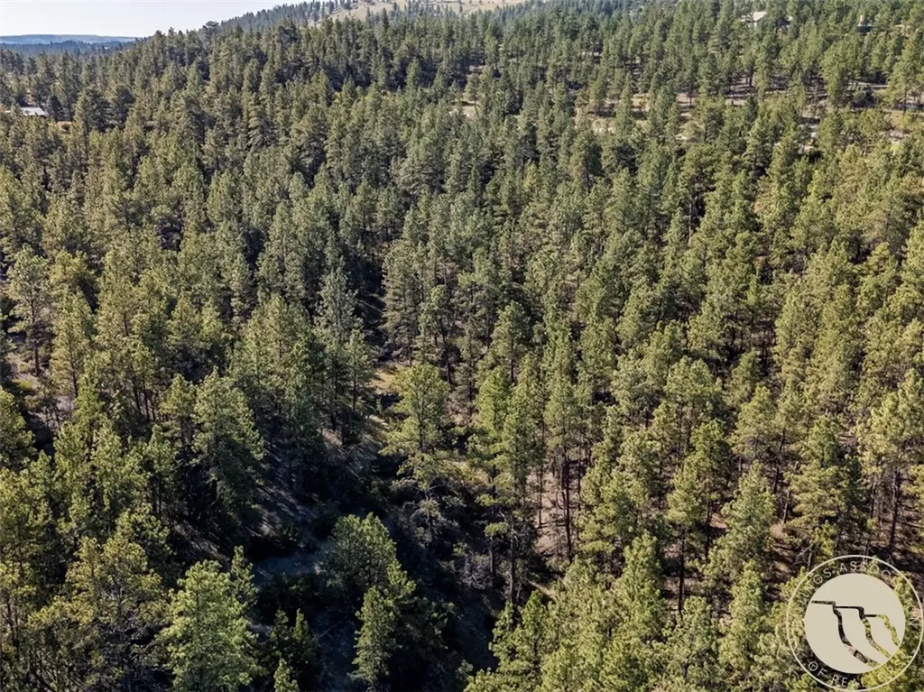 Lot 65 Countryman Creek Road Columbus MT 59019