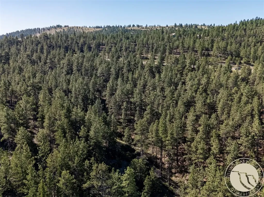 Lot 65 Countryman Creek Road Columbus MT 59019