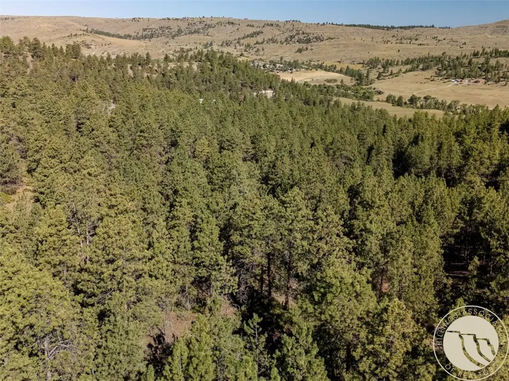 Lot 65 Countryman Creek Road Columbus MT 59019
