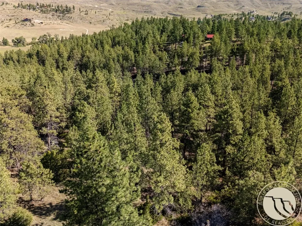 Lot 65 Countryman Creek Road Columbus MT 59019