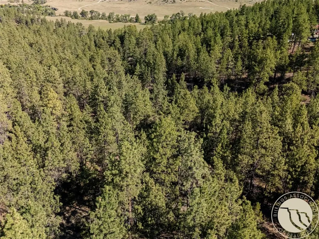 Lot 65 Countryman Creek Road Columbus MT 59019