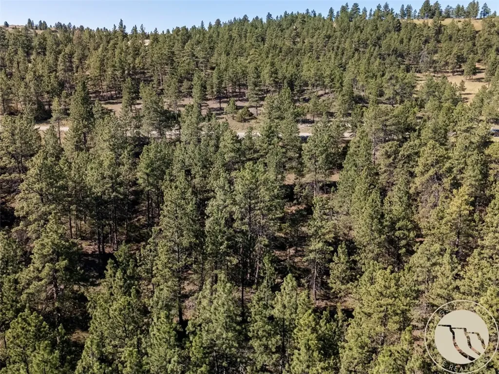 Lot 65 Countryman Creek Road Columbus MT 59019