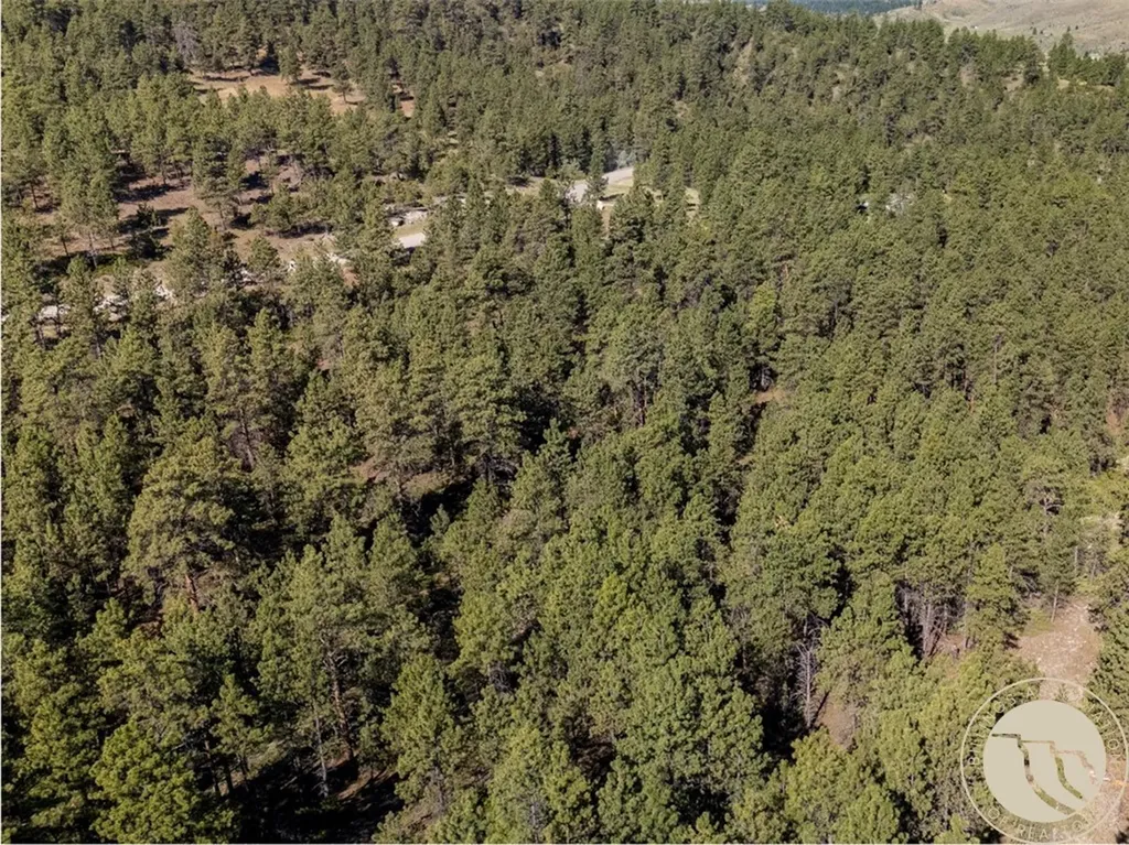Lot 65 Countryman Creek Road Columbus MT 59019