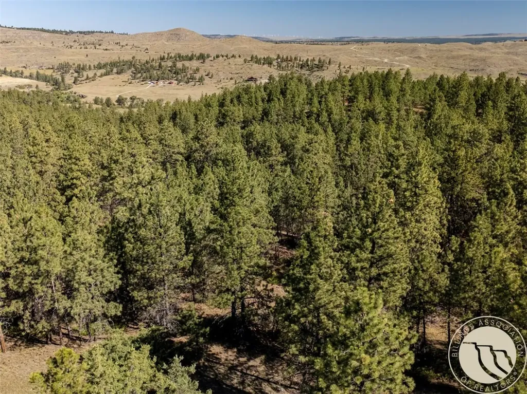 Lot 65 Countryman Creek Road Columbus MT 59019