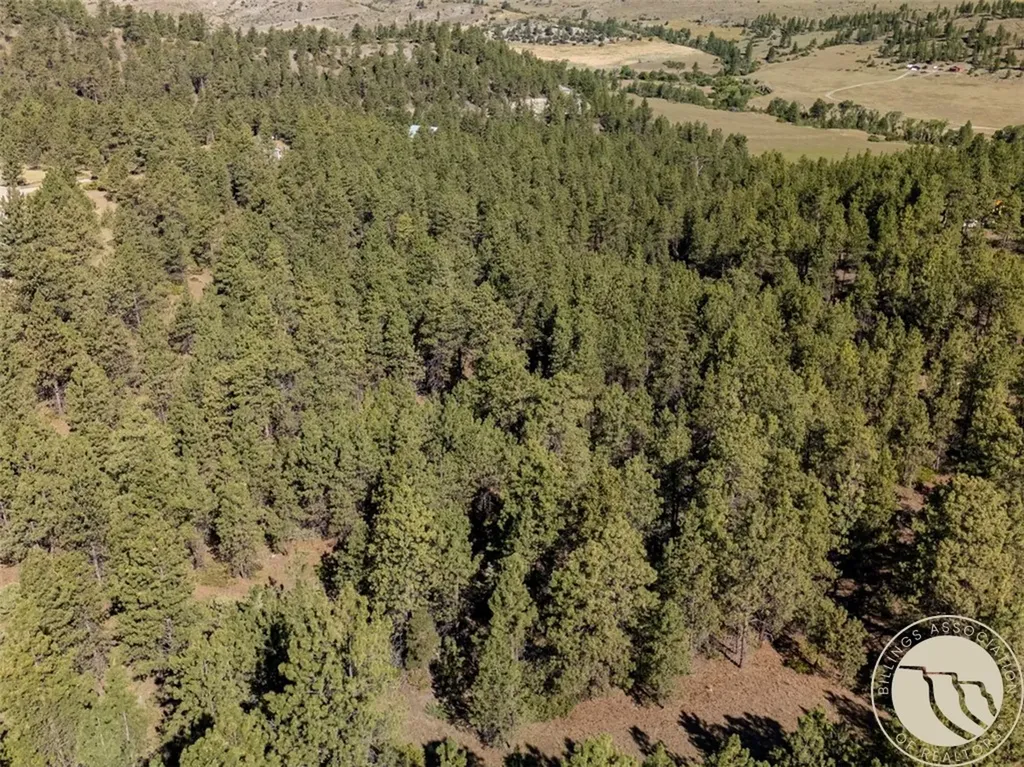 Lot 65 Countryman Creek Road Columbus MT 59019