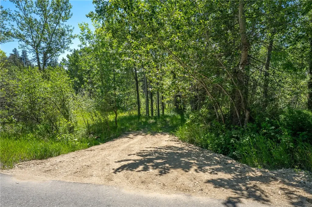 Tbd Carbon Avenue Roberts MT 59070