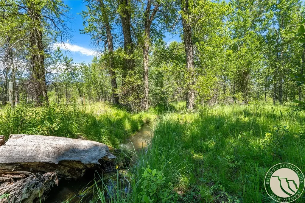 Tbd Carbon Avenue Roberts MT 59070
