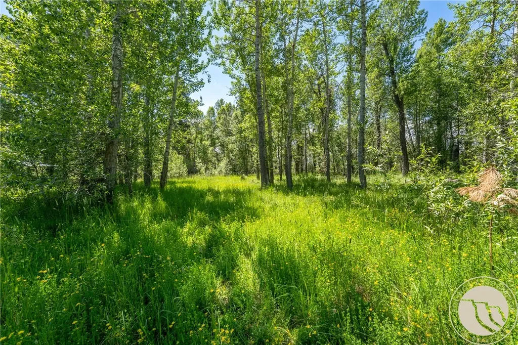Tbd Carbon Avenue Roberts MT 59070