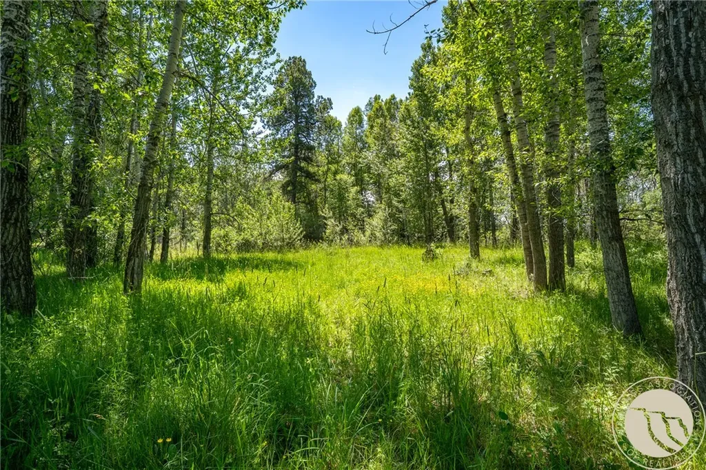 Tbd Carbon Avenue Roberts MT 59070
