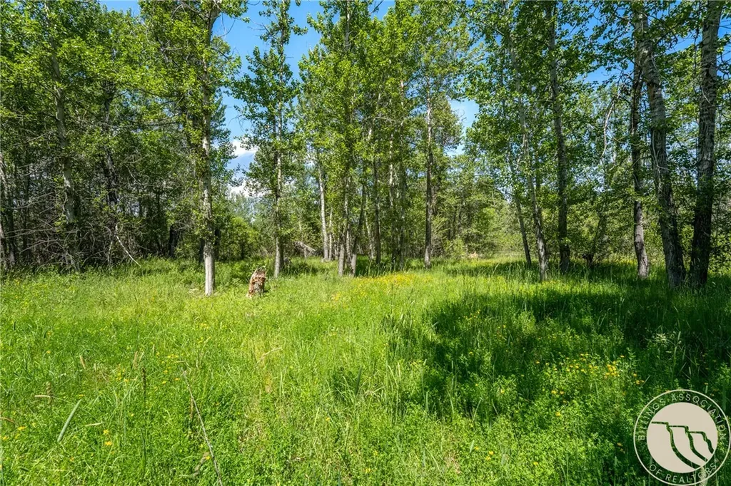 Tbd Carbon Avenue Roberts MT 59070