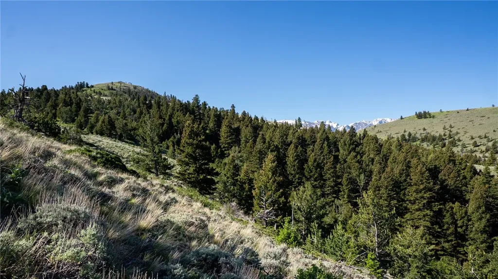 Tbd Nye Road Nye MT 59061