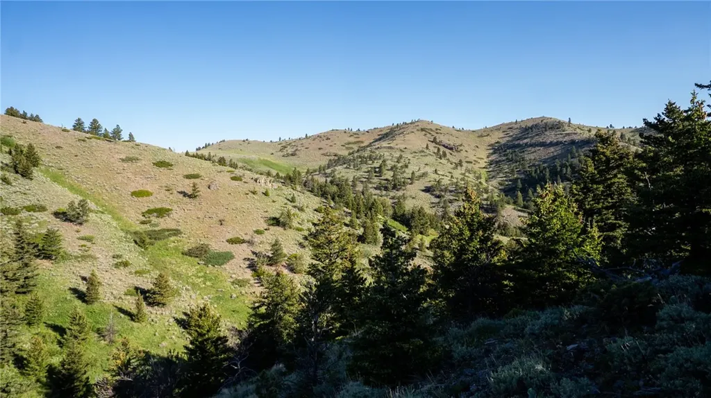 Tbd Nye Road Nye MT 59061