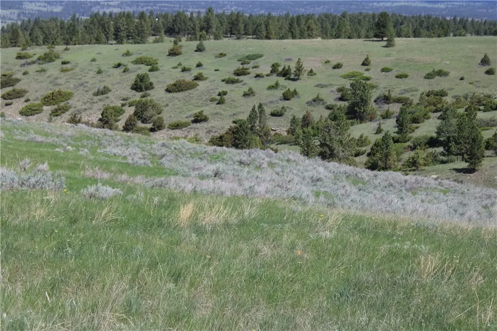 Tbd N Harrier Road Reed Point MT 59069