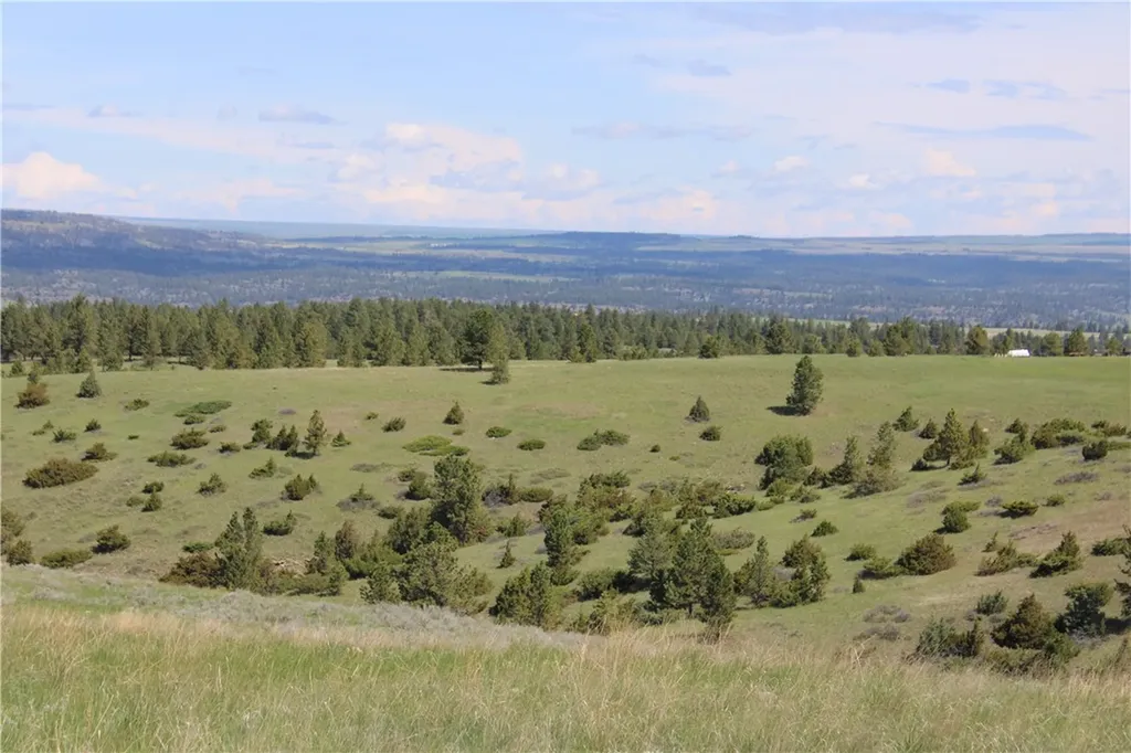 Tbd N Harrier Road Reed Point MT 59069