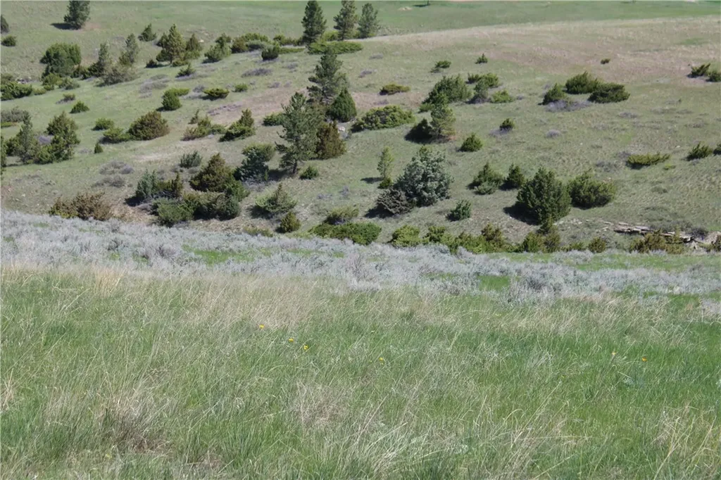 Tbd N Harrier Road Reed Point MT 59069