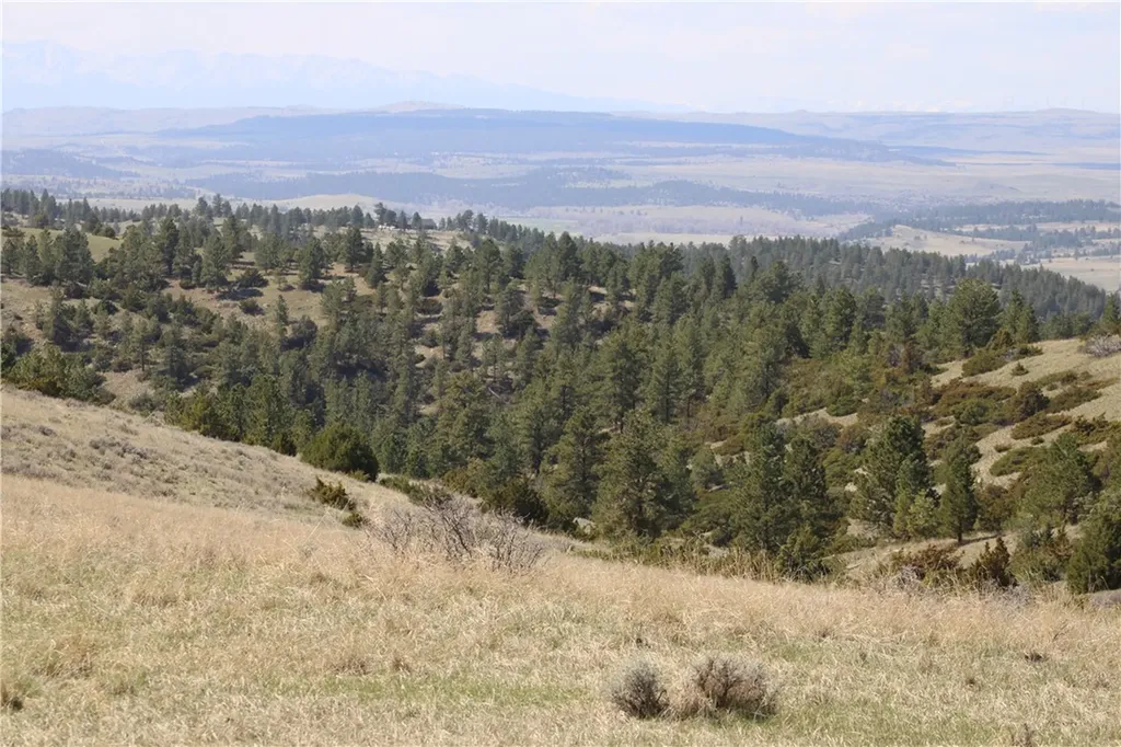 Tbd N Harrier Road Reed Point MT 59069