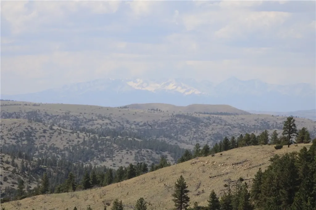 Tbd N Harrier Road Reed Point MT 59069