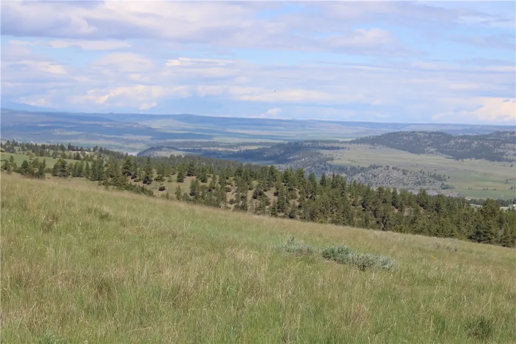Tbd N Harrier Road Reed Point MT 59069