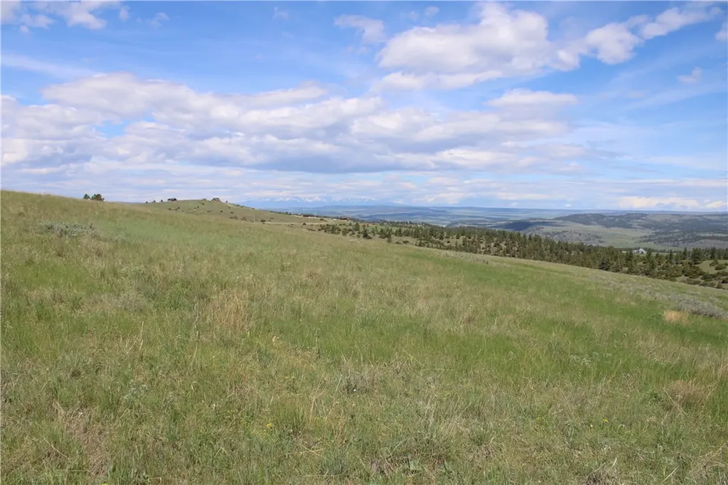 Tbd N Harrier Road Reed Point MT 59069