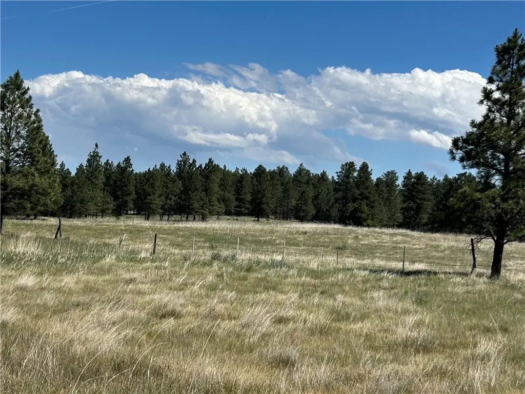 77 Treetop Road Roundup MT 59072