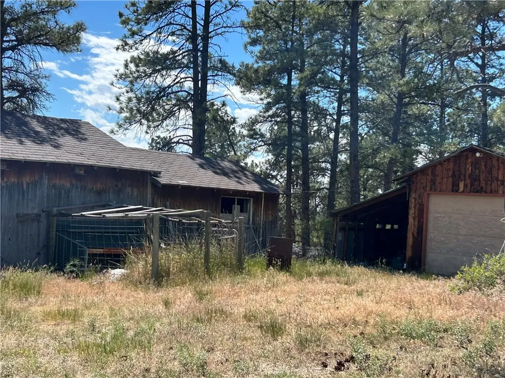 77 Treetop Road Roundup MT 59072