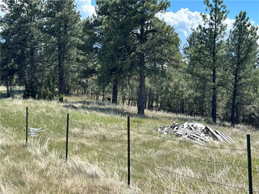 77 Treetop Road Roundup MT 59072