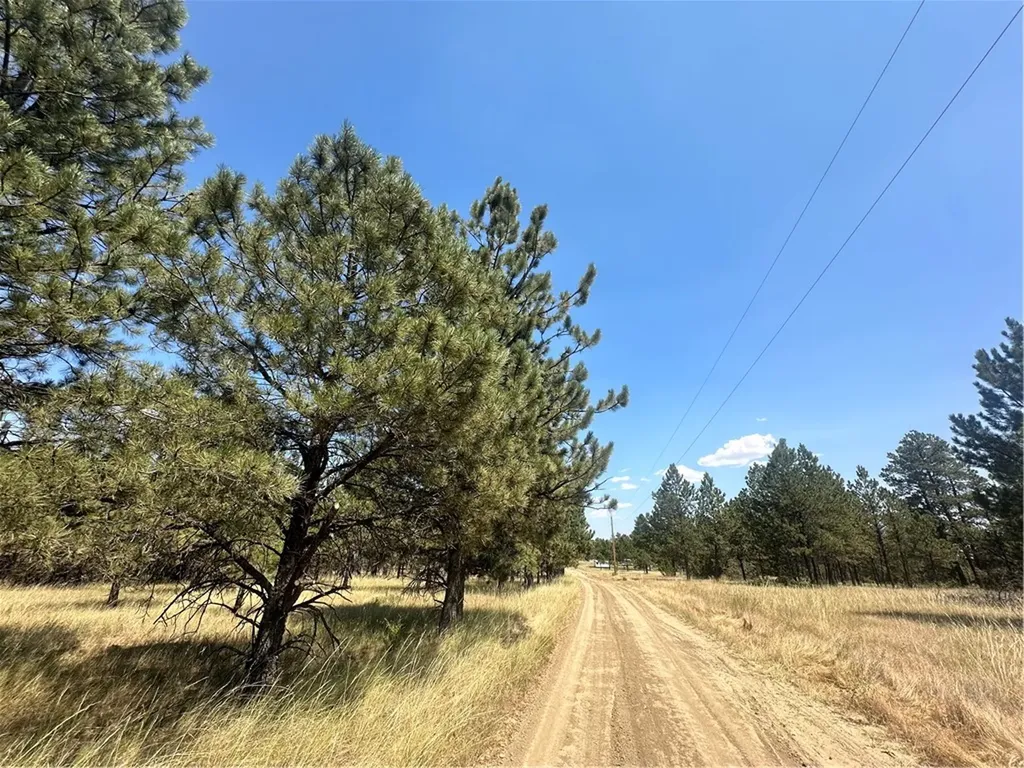 197 Roland Road Roundup MT 59072