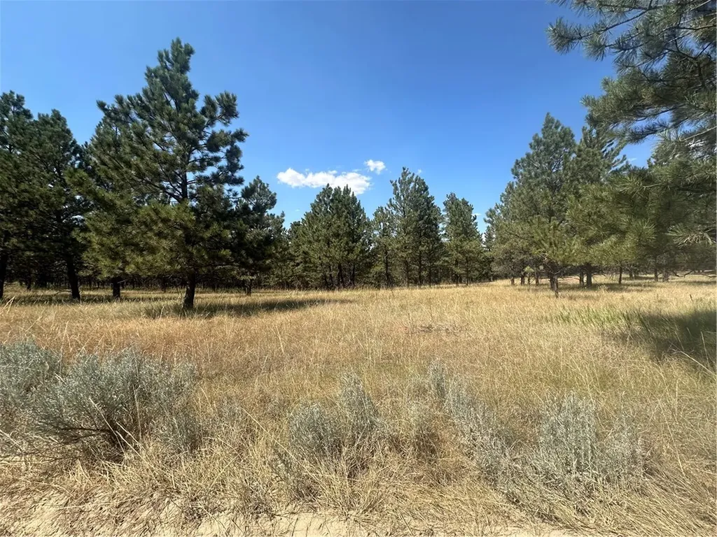 197 Roland Road Roundup MT 59072