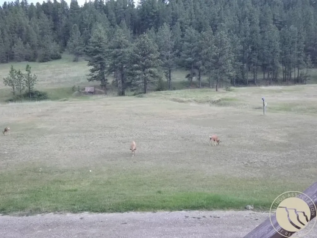 3843 S U S Highway 87 Roundup MT 59072