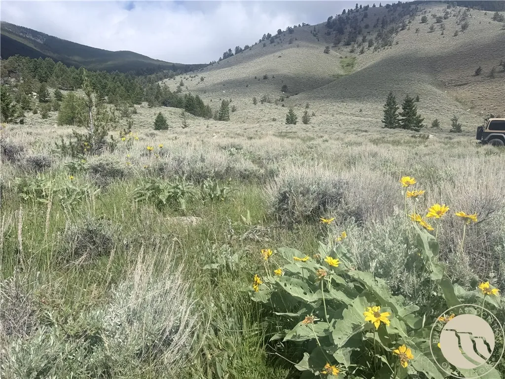 Tr 5 S Us Highway 212 Red Lodge MT 59068