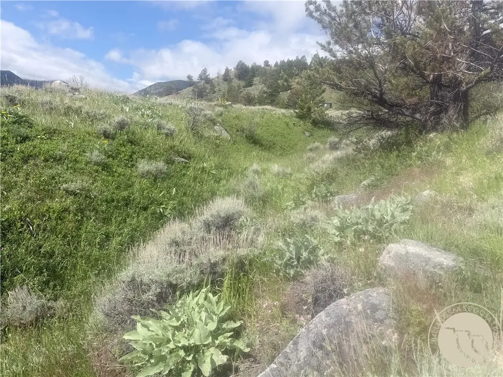 Tr 5 S Us Highway 212 Red Lodge MT 59068