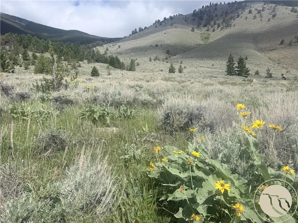 Tr 3 S Us Highway 212 Red Lodge MT 59068