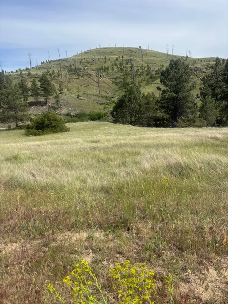 147 Haystack Coulee Road Columbus MT 59019