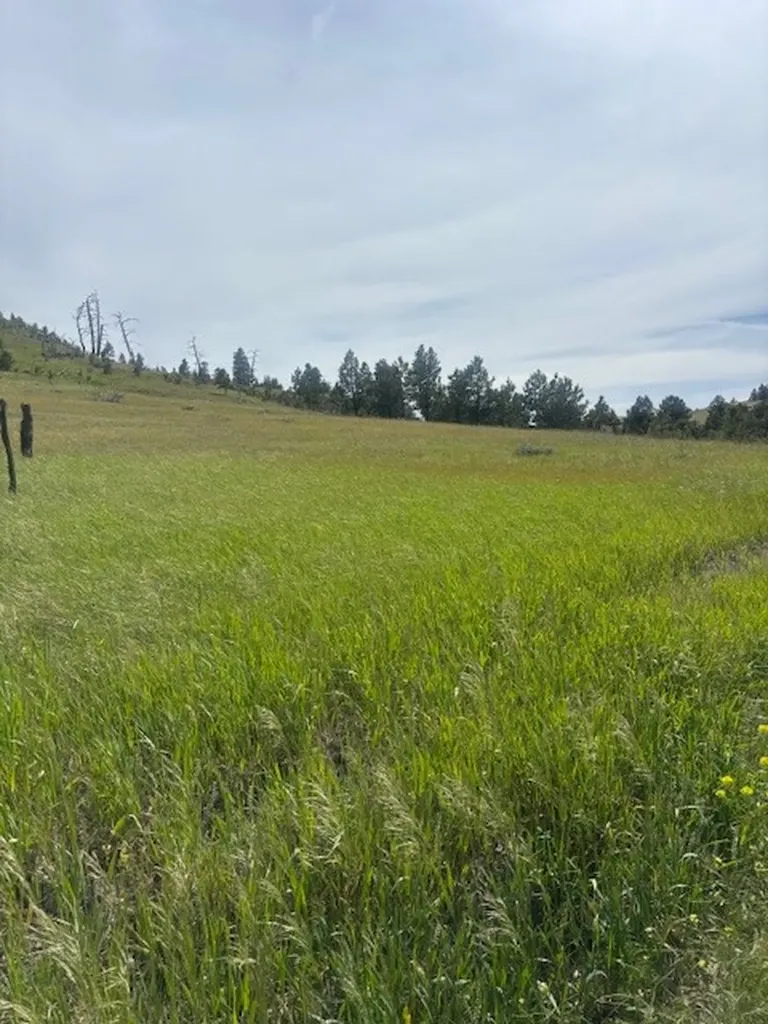 147 Haystack Coulee Road Columbus MT 59019