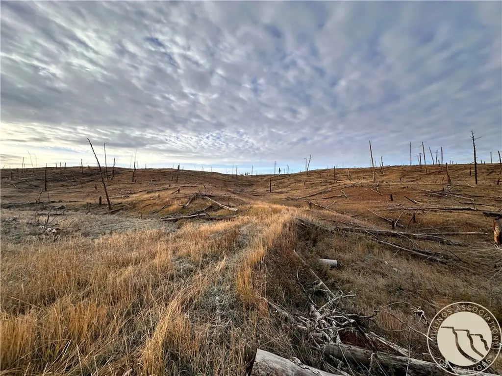 Tbd Buckskin Road Roundup MT 59072