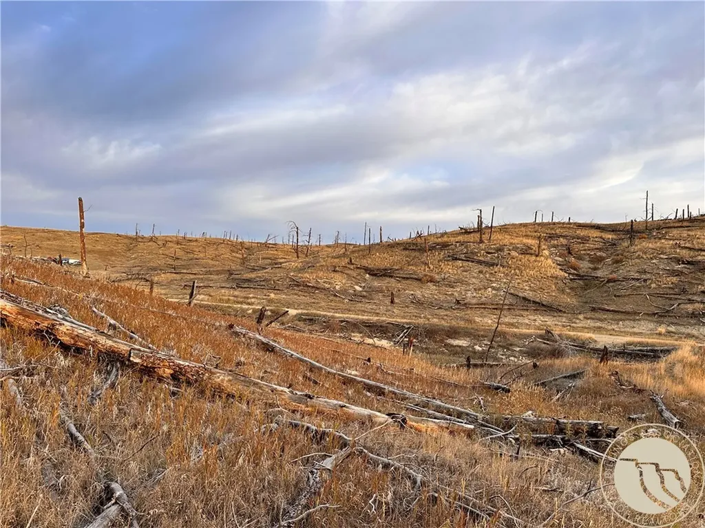 Tbd Buckskin Road Roundup MT 59072