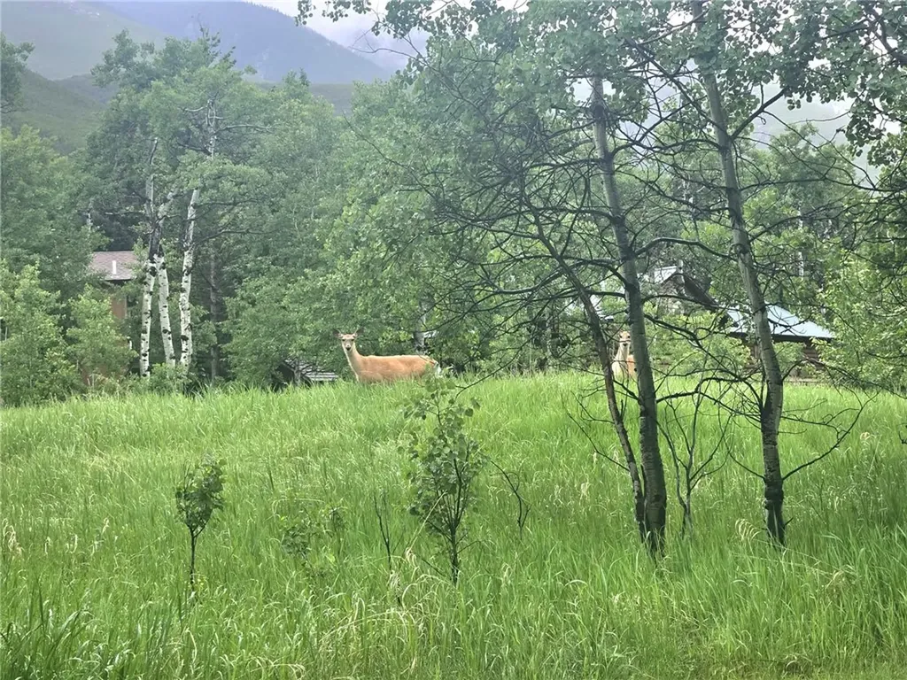 12 Rainbow Drive Roscoe MT 59071
