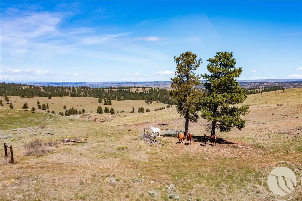 Nhn 1677.96 Acres - Hwy 421 And Joliet Road Columbus MT 59019