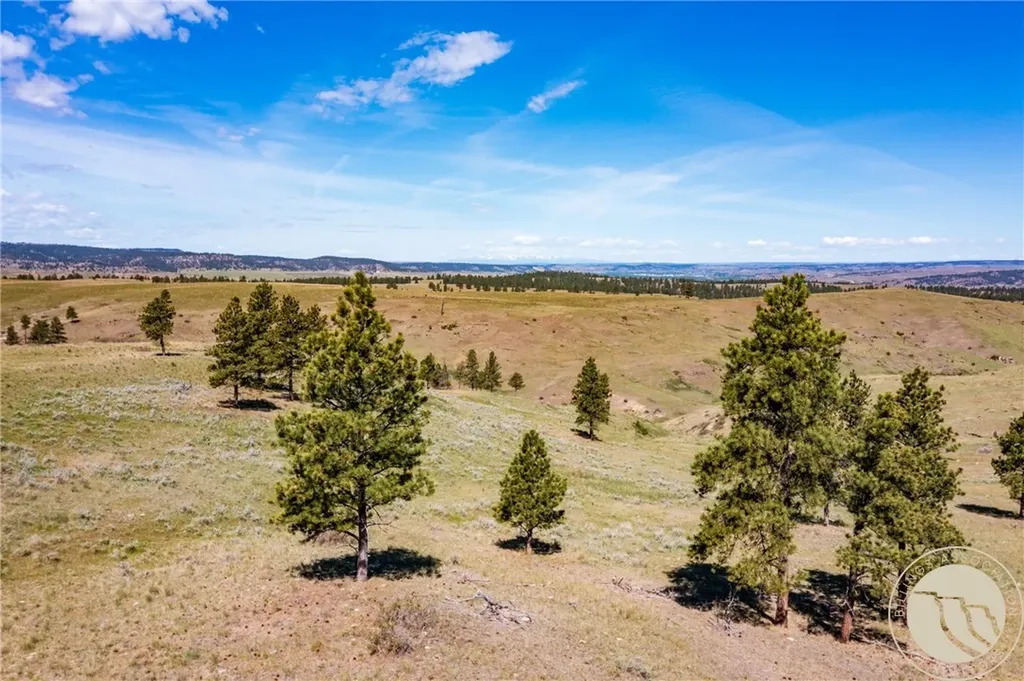 Nhn 1677.96 Acres - Hwy 421 And Joliet Road Columbus MT 59019