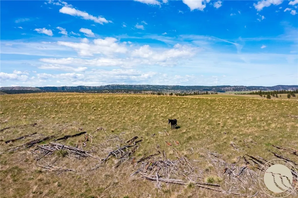 Nhn 1677.96 Acres - Hwy 421 And Joliet Road Columbus MT 59019