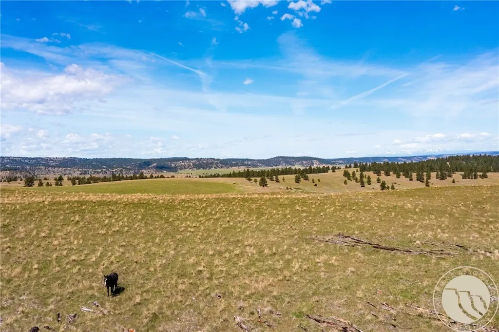 Nhn 1677.96 Acres - Hwy 421 And Joliet Road Columbus MT 59019