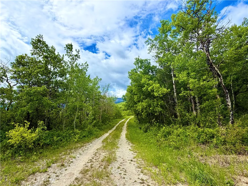 Lot 8 Arlie Tract Other MT 59411