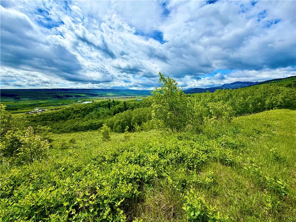 Lot 8 Arlie Tract Other MT 59411