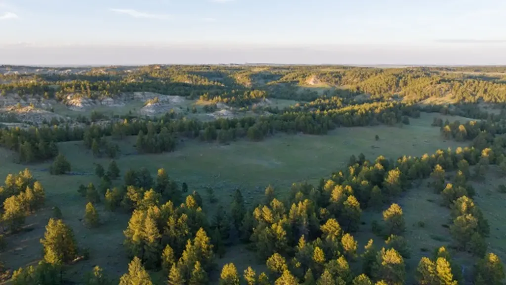 18727 Valentine Road Winnett MT 59471