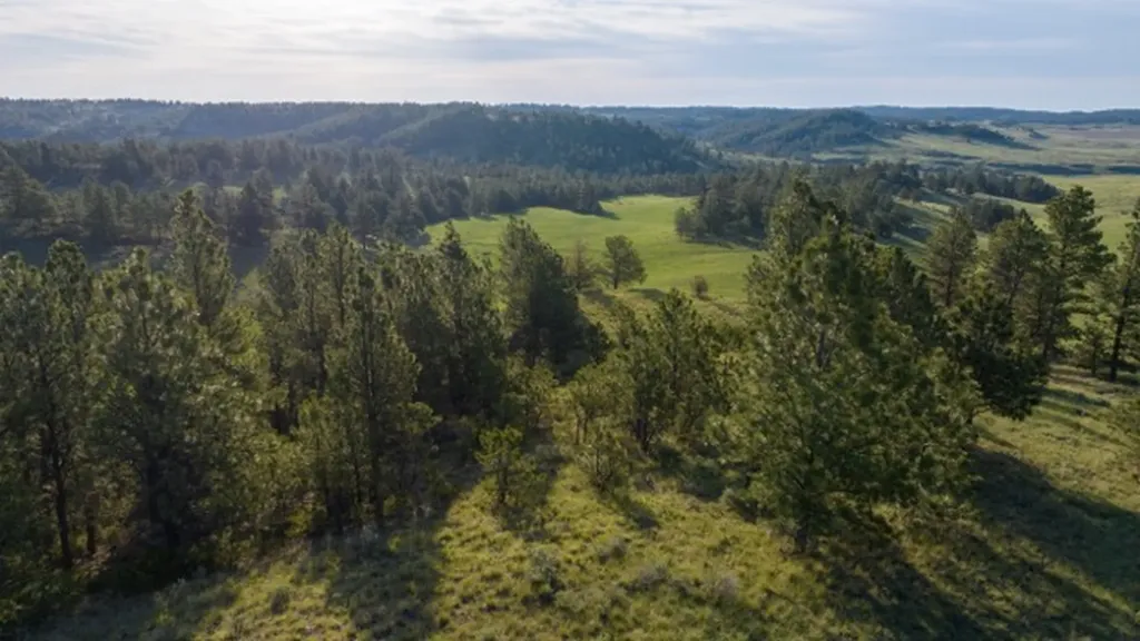 18727 Valentine Road Winnett MT 59471