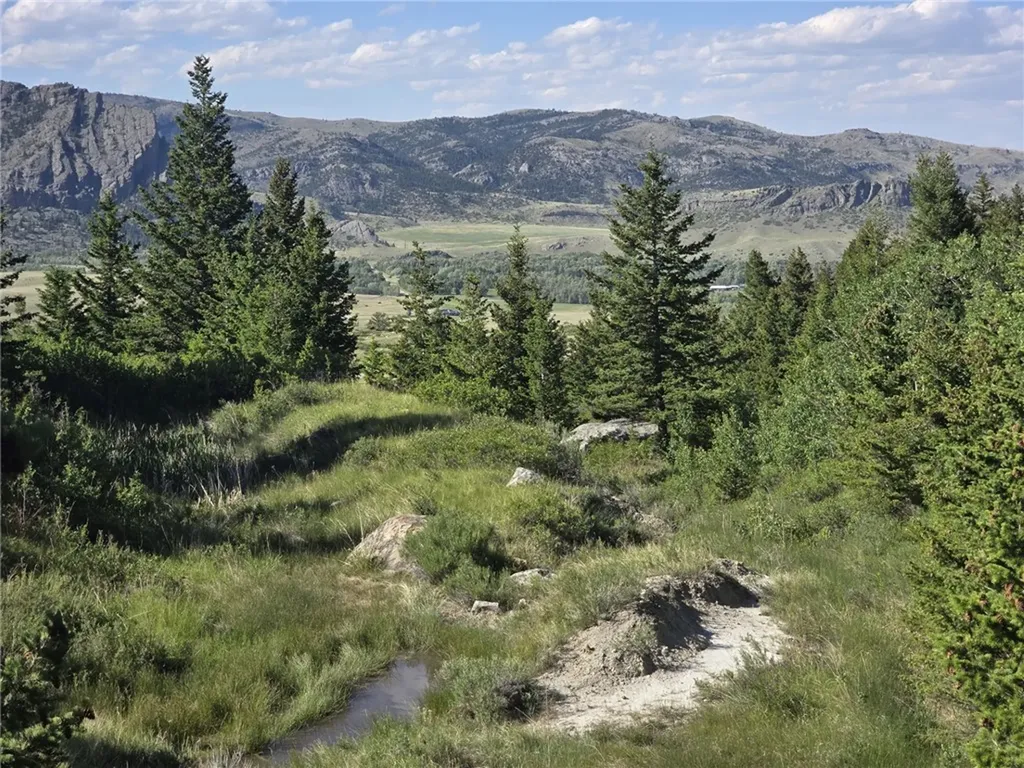 Lot 34 Cheyenne Trail Nye MT 59061