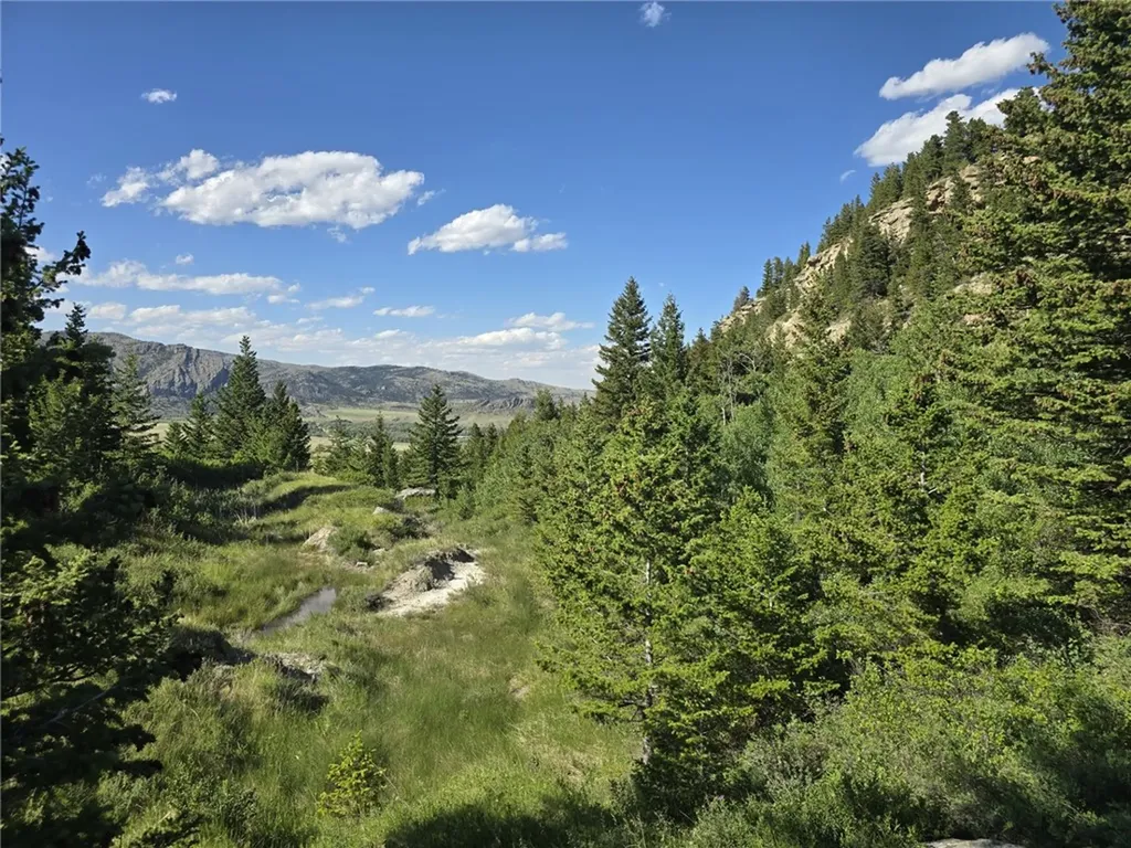Lot 34 Cheyenne Trail Nye MT 59061