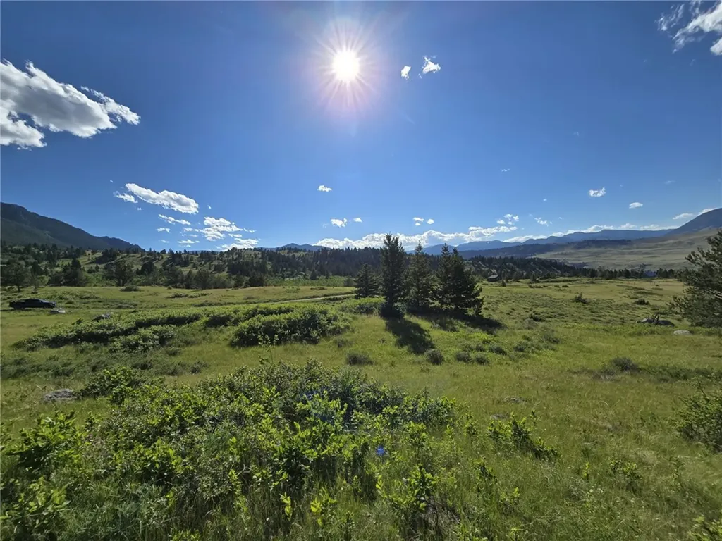 Lot 34 Cheyenne Trail Nye MT 59061